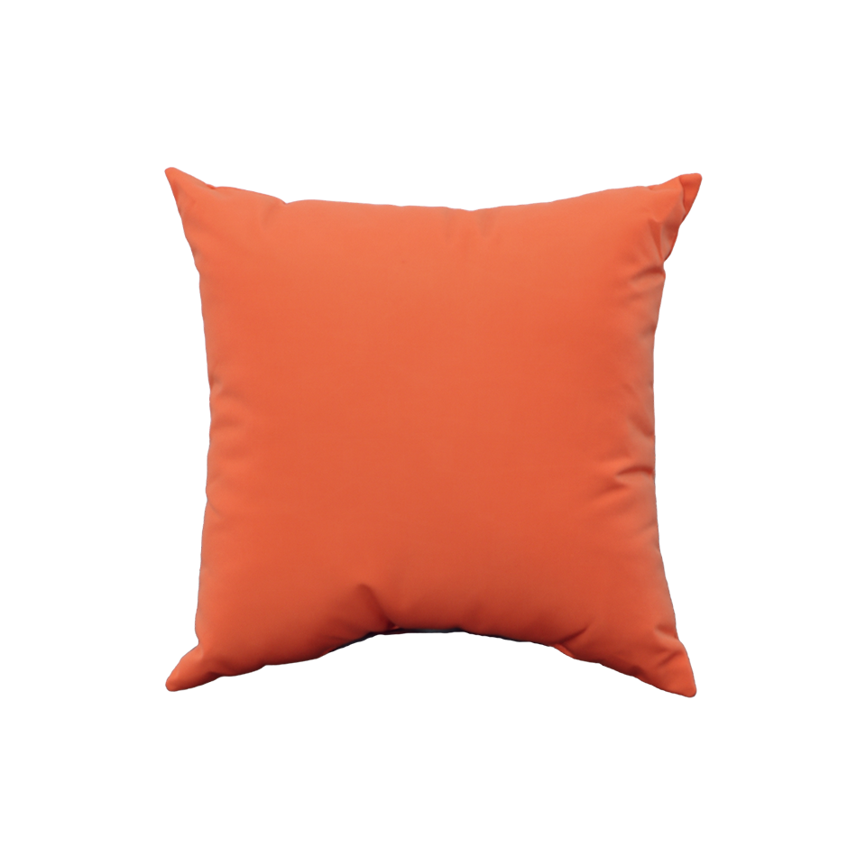 CANVAS MELON 20" PILLOW